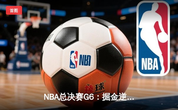 NBA总决赛G6：掘金逆转热火，约基奇三双率队首夺总冠军
