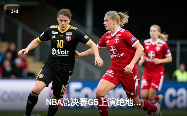 NBA总决赛G5上演绝地翻盘 掘金主场逆转热火夺赛点 - 3